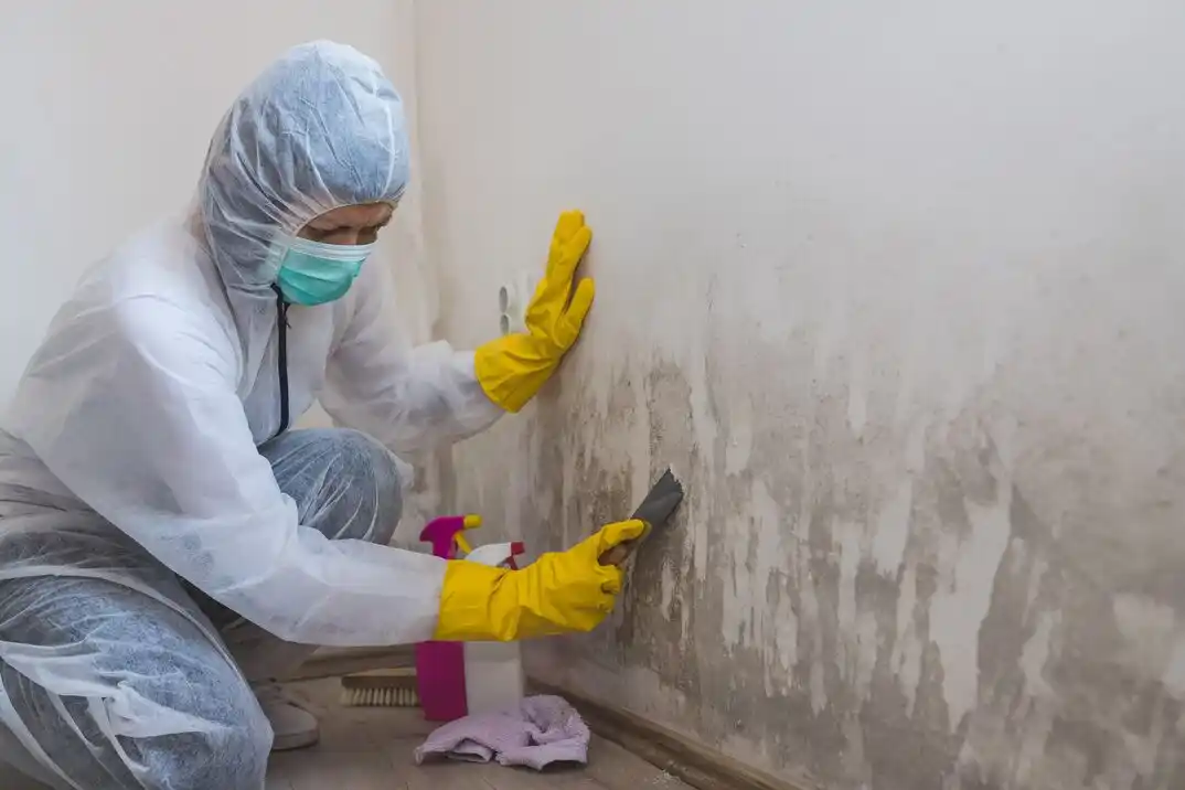 water damage restoration service Laguna Park